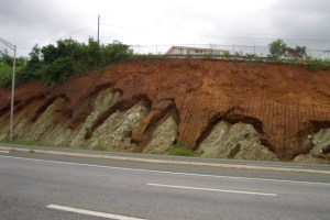 Meteorización de rocas produce el suelo.